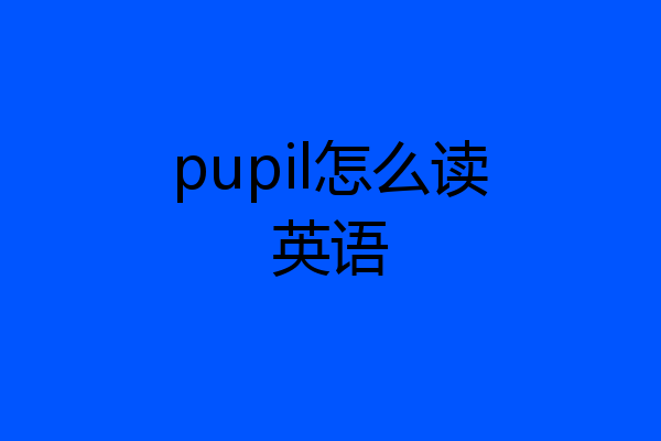 pupil怎么读英语