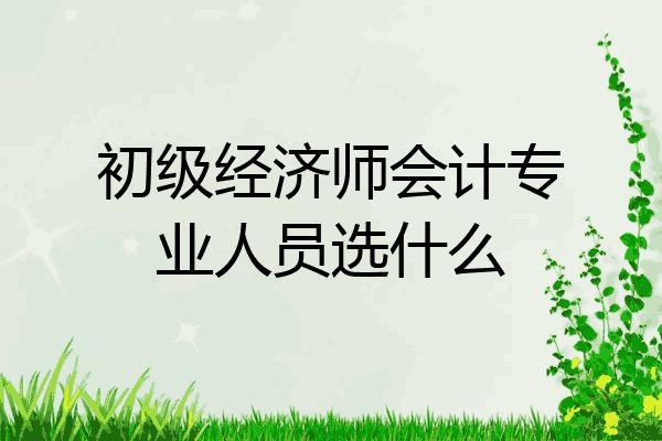 初级经济师会计专业人员选什么