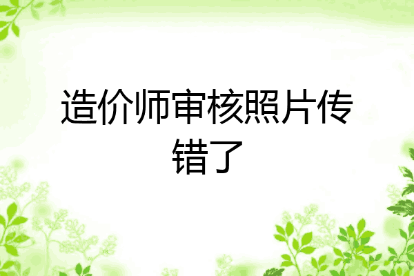 造价师审核照片传错了