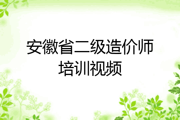 安徽省二级造价师培训视频