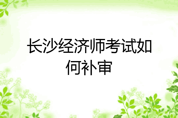长沙经济师考试如何补审