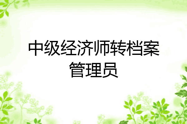 中级经济师转档案管理员