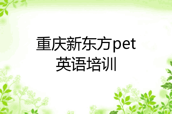 重庆新东方pet英语培训