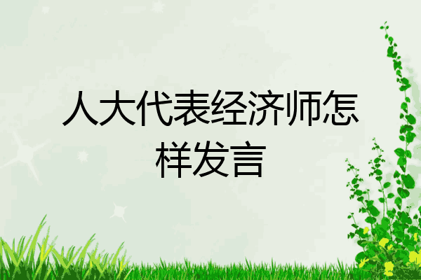 人大代表经济师怎样发言