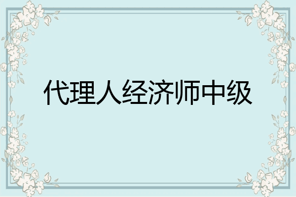 代理人经济师中级