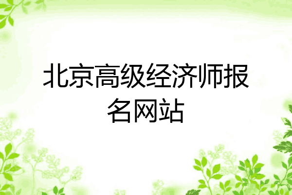 北京高级经济师报名网站