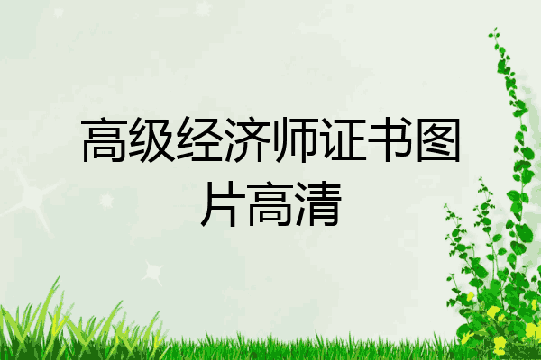 高级经济师证书图片高清