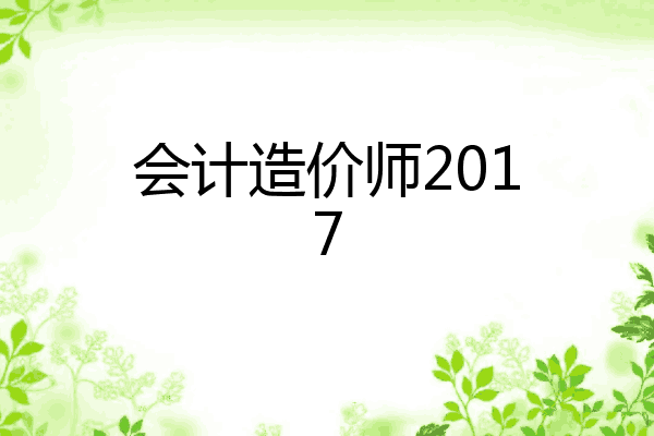会计造价师2017