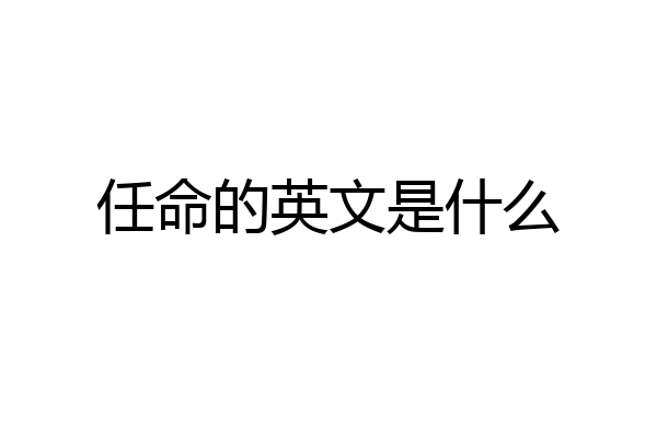 任命的英文是什么