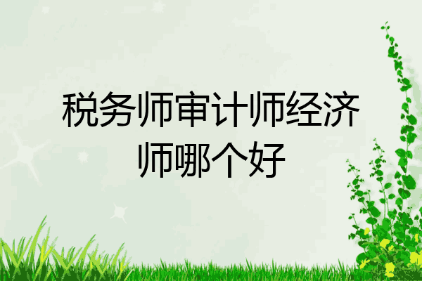 税务师审计师经济师哪个好