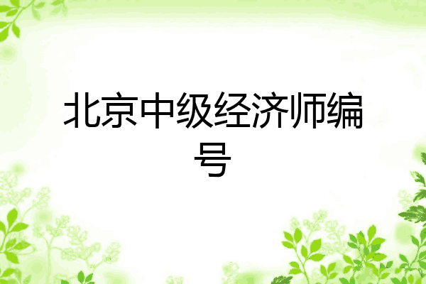 北京中级经济师编号