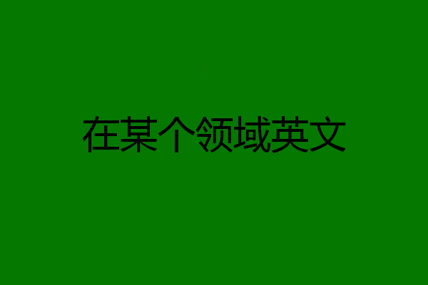在某个领域英文