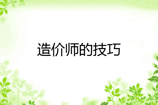 造价师的技巧