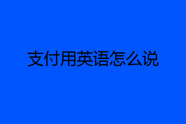 支付用英语怎么说