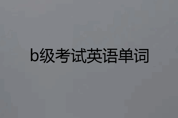 b级考试英语单词