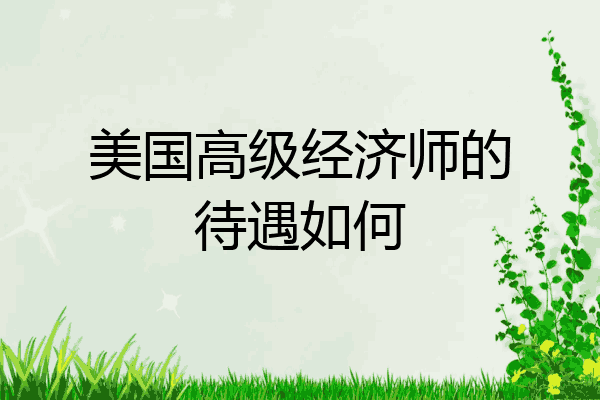 美国高级经济师的待遇如何