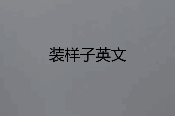 装样子英文