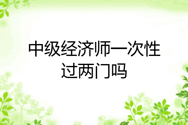 中级经济师一次性过两门吗