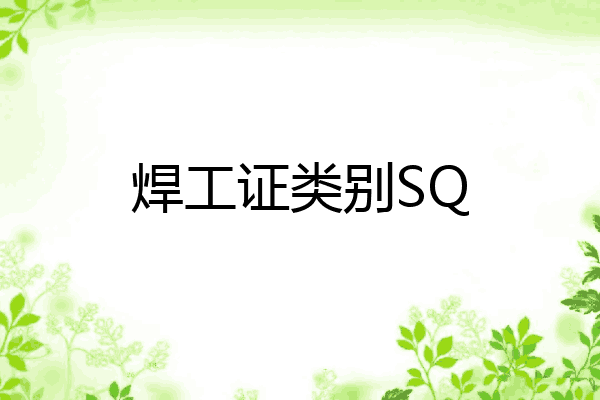 焊工证类别SQ