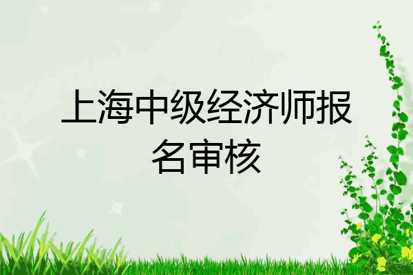 上海中级经济师报名审核