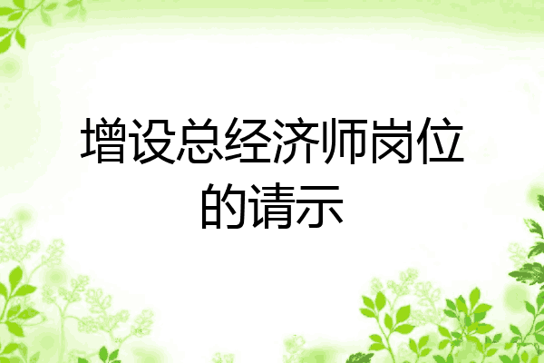 增设总经济师岗位的请示