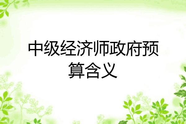 中级经济师政府预算含义