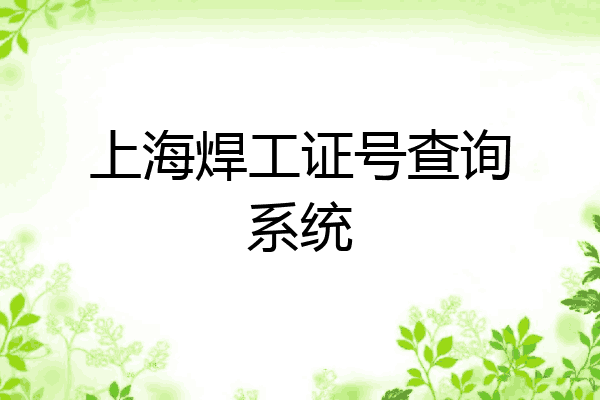 上海焊工证号查询系统