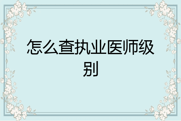 怎么查执业医师级别
