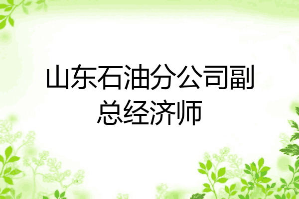 山东石油分公司副总经济师