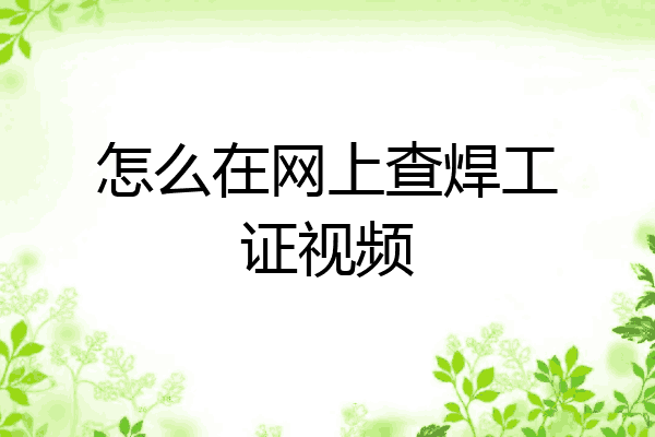 怎么在网上查焊工证视频