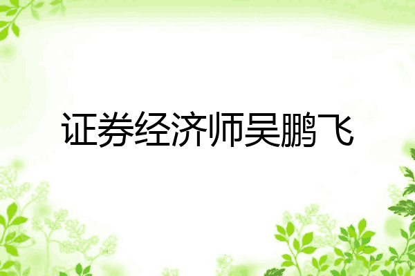 证券经济师吴鹏飞