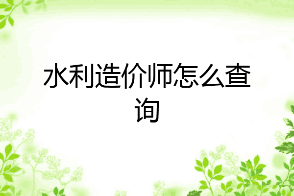 水利造价师怎么查询