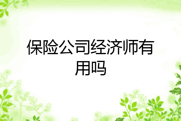 保险公司经济师有用吗
