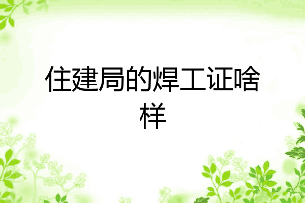 住建局的焊工证啥样