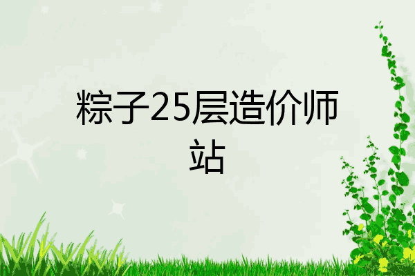 粽子25层造价师站