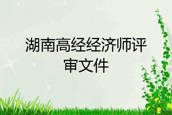 湖南高经经济师评审文件