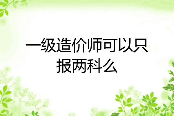 一级造价师可以只报两科么