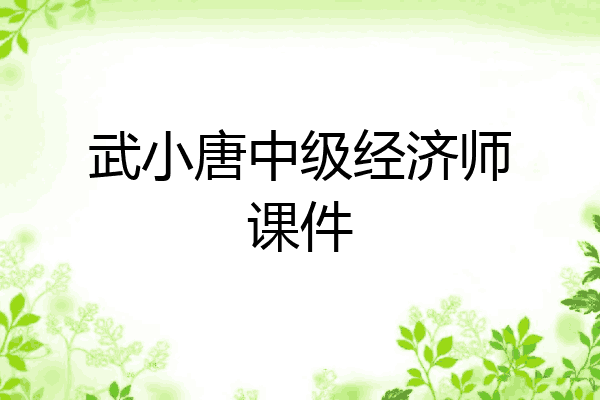 武小唐中级经济师课件