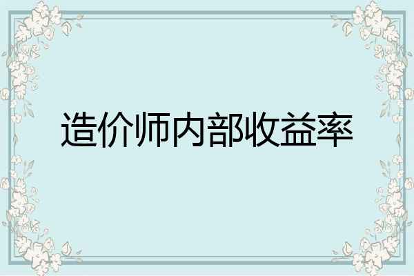 造价师内部收益率