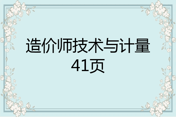 造价师技术与计量41页