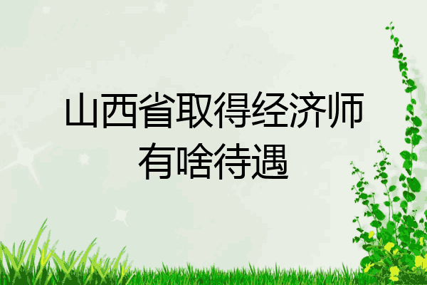 山西省取得经济师有啥待遇