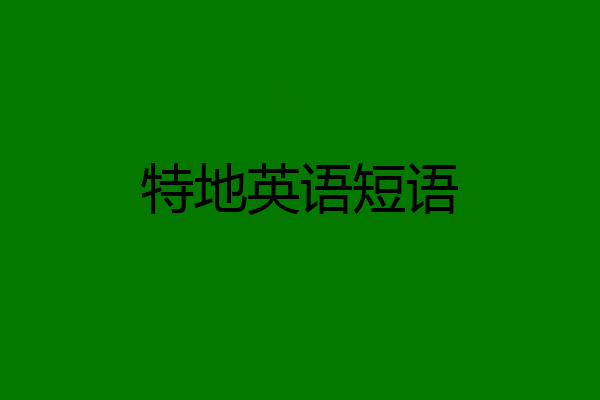 特地英语短语