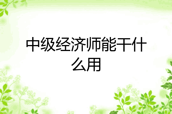 中级经济师能干什么用