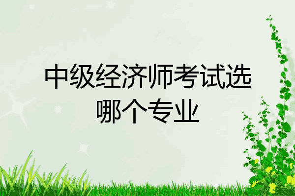 中级经济师考试选哪个专业
