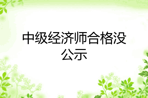 中级经济师合格没公示