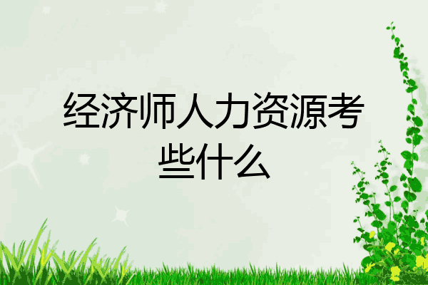 经济师人力资源考些什么