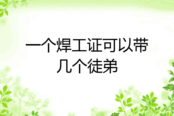 一个焊工证可以带几个徒弟