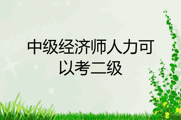 中级经济师人力可以考二级