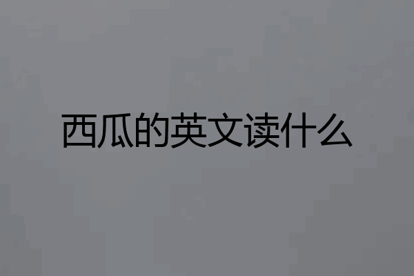 西瓜的英文读什么