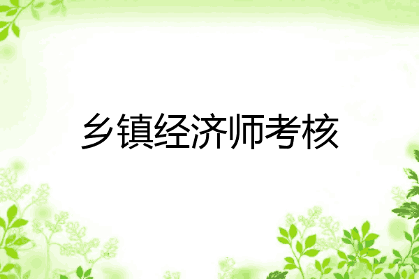 乡镇经济师考核